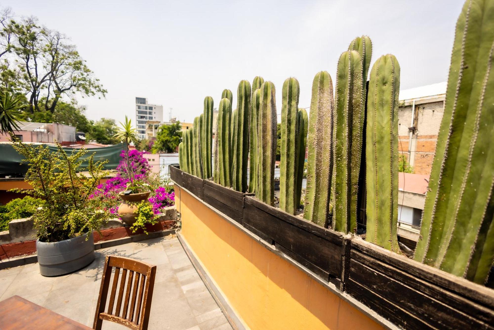 Hacienda Gobernadores Mexico City Exterior photo