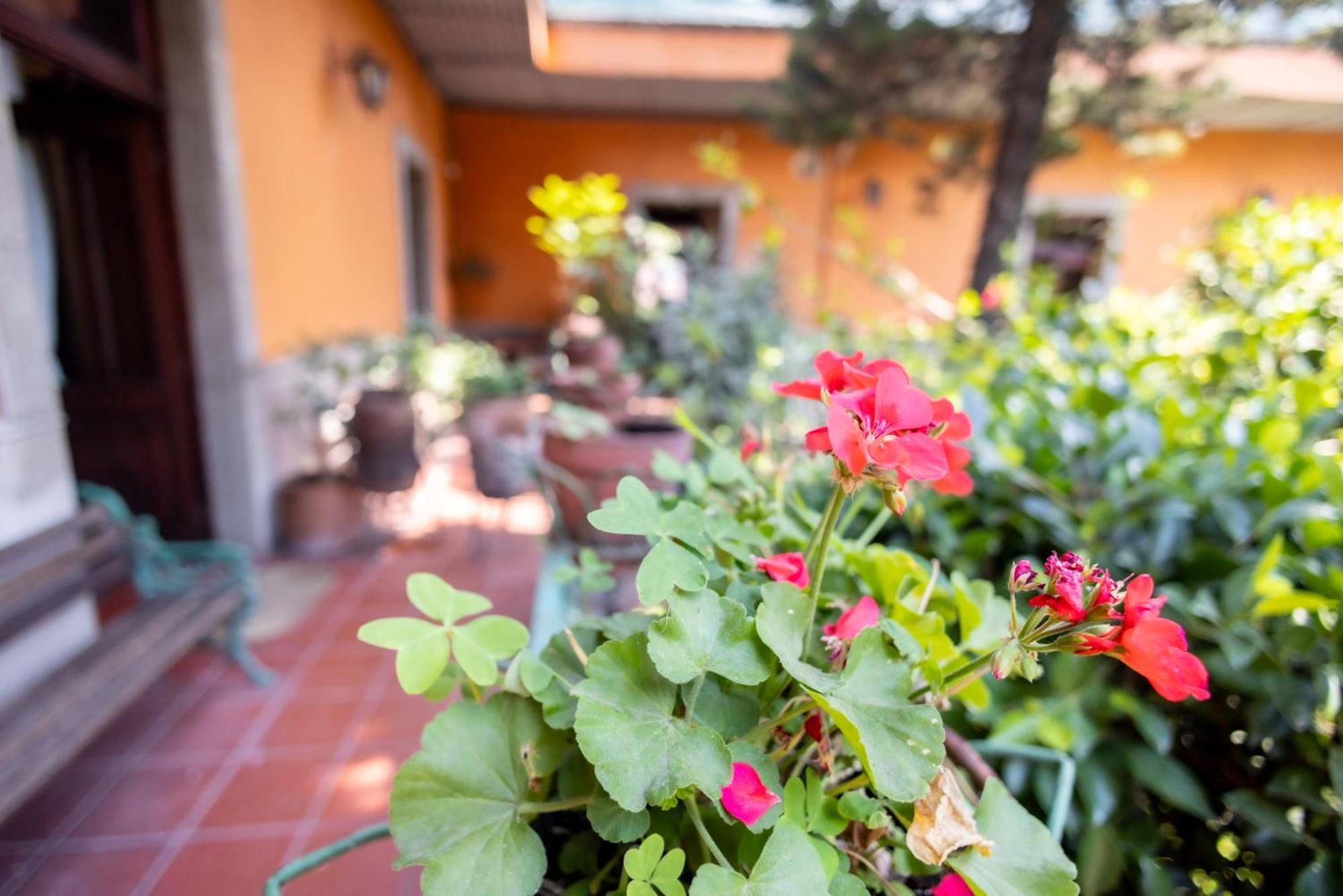 Hacienda Gobernadores Mexico City Exterior photo